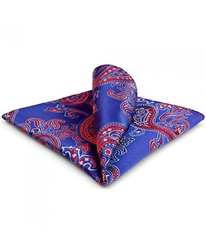 S&W SHLAX&WING Blue Red Men's Neckties Paisley Tie NeckTie