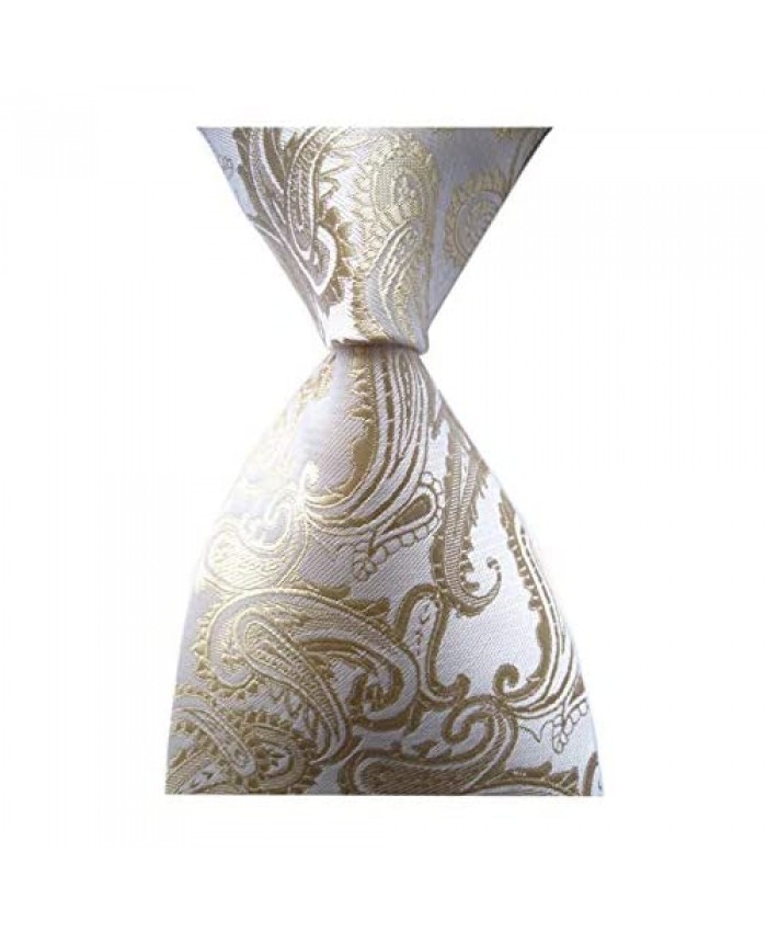 Secdtie Men's Paisley Ties Jacquard Woven Handmade Unique Designer Neckties